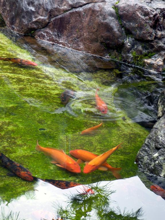 ホテル 鬼の栖 伊豆市 エクステリア 写真